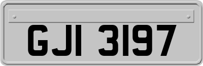 GJI3197