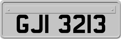 GJI3213