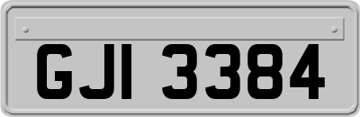 GJI3384