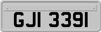 GJI3391