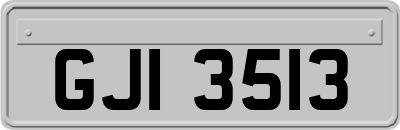 GJI3513