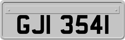 GJI3541