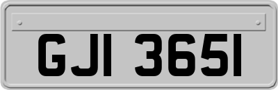 GJI3651