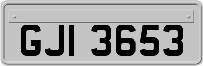 GJI3653