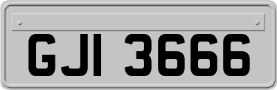 GJI3666
