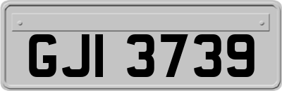 GJI3739