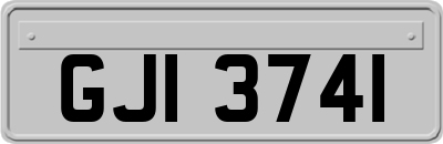 GJI3741