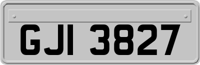 GJI3827