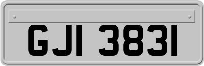GJI3831