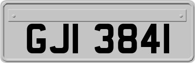 GJI3841