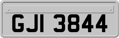 GJI3844