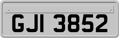 GJI3852
