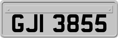 GJI3855