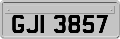 GJI3857