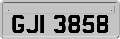 GJI3858
