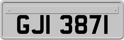 GJI3871