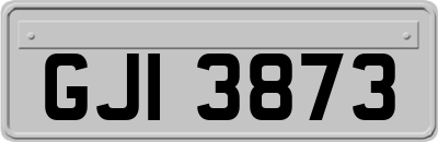 GJI3873