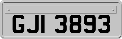 GJI3893