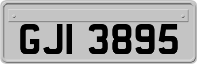 GJI3895