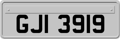 GJI3919