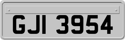 GJI3954