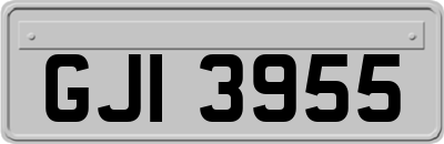 GJI3955