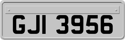 GJI3956