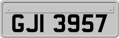 GJI3957