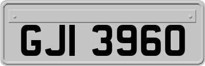 GJI3960