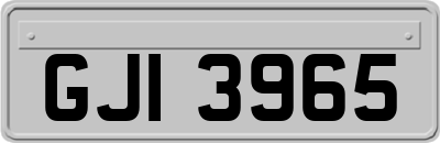 GJI3965