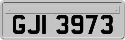 GJI3973
