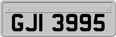 GJI3995