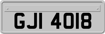 GJI4018