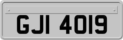 GJI4019