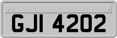 GJI4202
