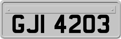 GJI4203