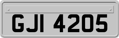 GJI4205