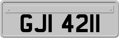 GJI4211
