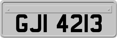 GJI4213