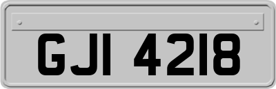 GJI4218