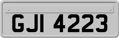 GJI4223