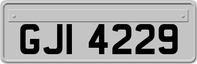 GJI4229