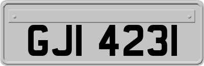 GJI4231