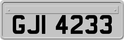 GJI4233