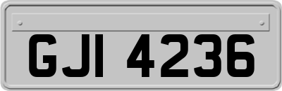 GJI4236