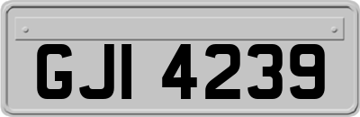 GJI4239
