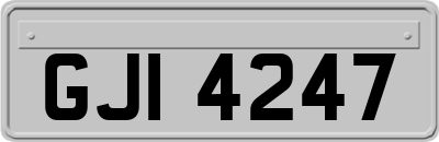 GJI4247