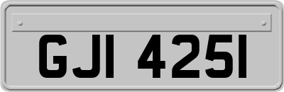 GJI4251