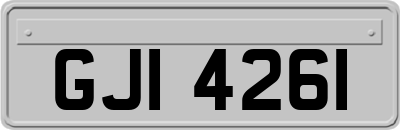 GJI4261
