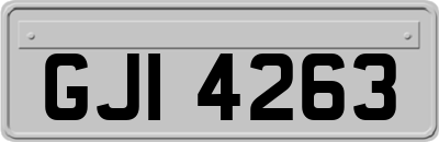 GJI4263